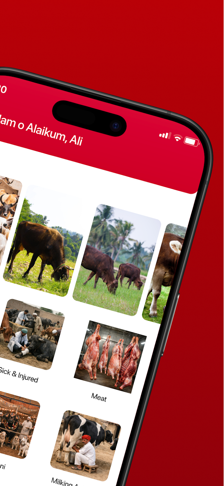 S.K Livestock screenshot