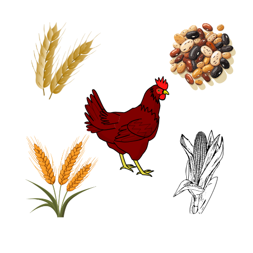 Poultry Feed Formulation App icon