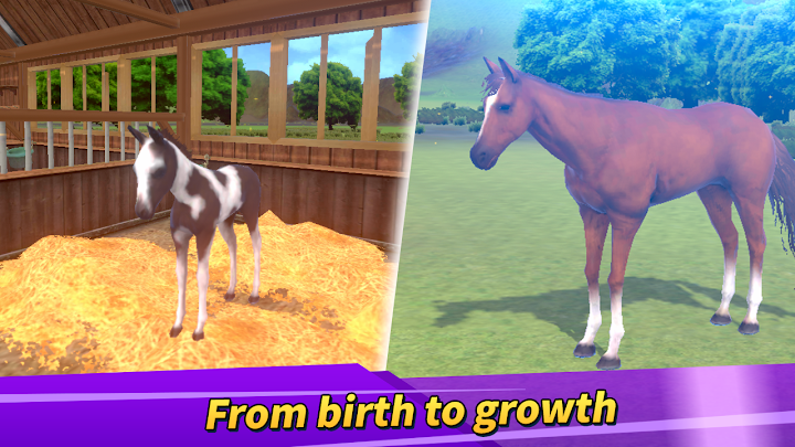 Derby Life : Horse racing screenshot