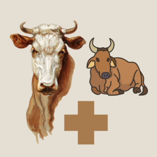 Cattle Diseases And Treatment icon